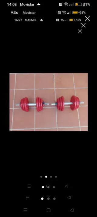 Juego Mancuernas SANTER Calidad, 20kilos cada una