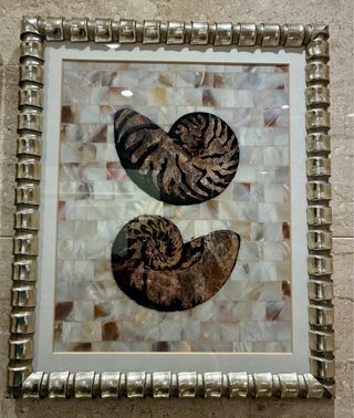 4 Cuadros Marinos Mosaico Concha