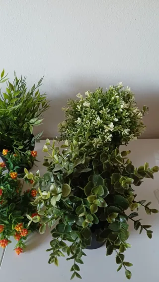 Piantine decorative Ikea