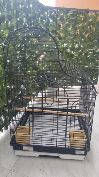 Gabbia per uccelli nera e beige