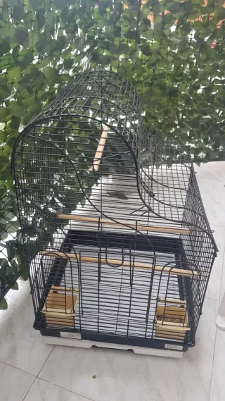 Gabbia per uccelli nera e beige