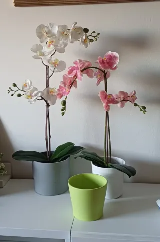Orchidee Ikea con vasi in ceramica