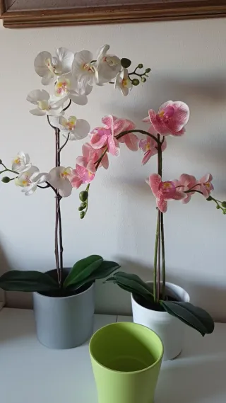 Orchidee Ikea con vasi in ceramica