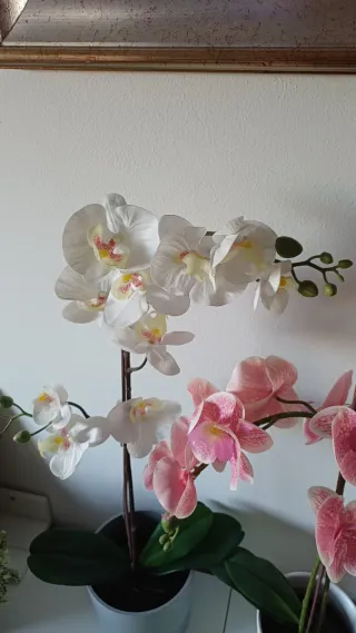Orchidee Ikea con vasi in ceramica