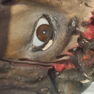 Crucifijo Jesucristo Ojos Cristal Años 50 OFERTA