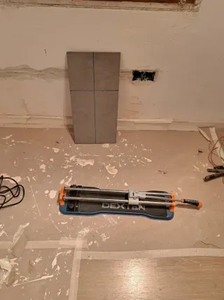 Realizó todo tipo de faenas del hogar.