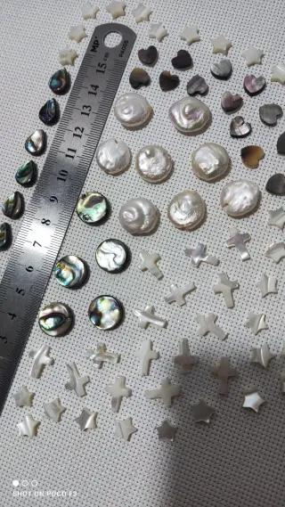 Lote 91 piezas de Nácar Abulón.