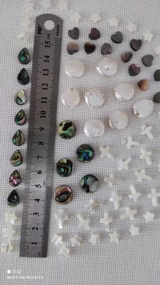 Lote 91 piezas de Nácar Abulón.