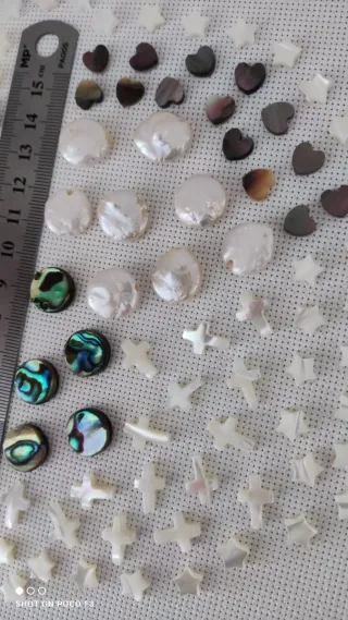 Lote 91 piezas de Nácar Abulón.