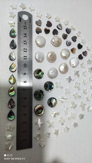 Lote 91 piezas de Nácar Abulón.