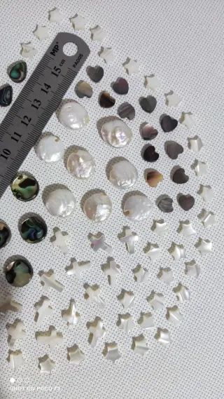 Lote 91 piezas de Nácar Abulón.