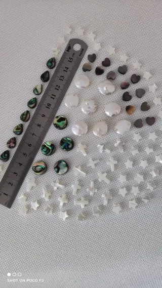 Lote 91 piezas de Nácar Abulón.