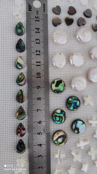 Lote 91 piezas de Nácar Abulón.