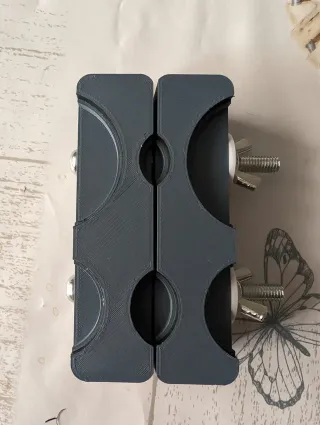 Mordacchia per pulire le monete