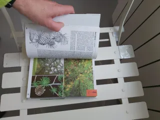 Guía Naturaleza. ÁRBOLES (Spanish Edition)