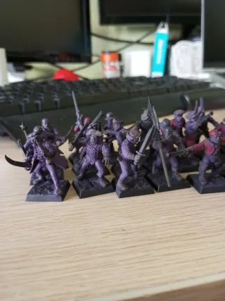 27 Milicia Imperial Warhammer