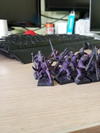 27 Milicia Imperial Warhammer