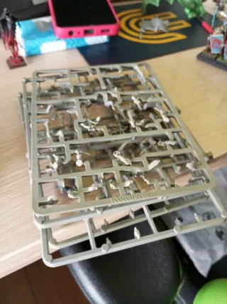 27 Milicia Imperial Warhammer