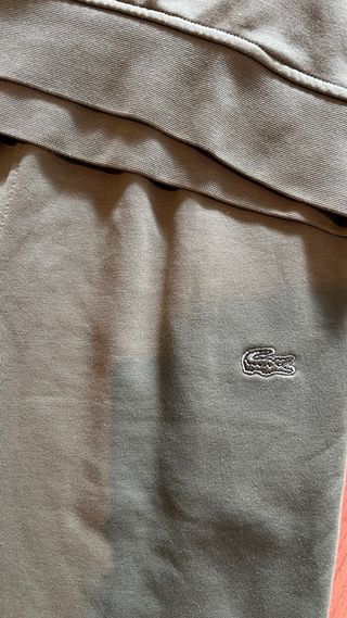 Conjunto Deportivo Lacoste Verde