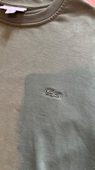 Conjunto Deportivo Lacoste Verde