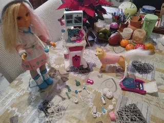 Nancy rescate con perro husky y trineo