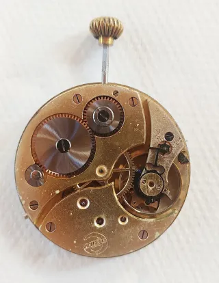 Movimento Orologio Tasca Election