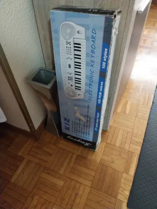 Teclado Electrónico Ringway K12