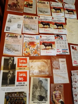 Colección de entradas taurinas yrevistas