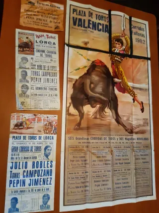 Colección de entradas taurinas yrevistas