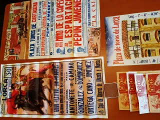Colección de entradas taurinas yrevistas