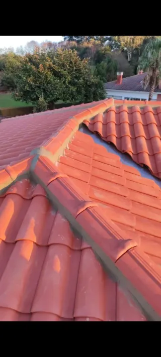 Reparación tejados y canalones