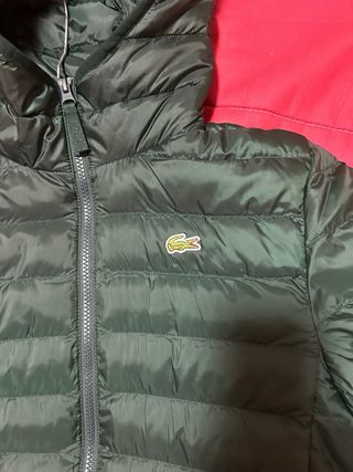 Chaqueta Lacoste verde acolchada