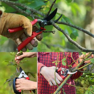 Jardinero económico