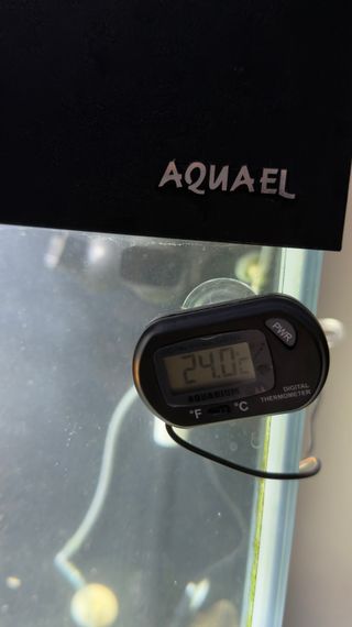 Acuario 240L Completo