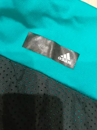 Chándal Adidas Azul/Verde Turquesa