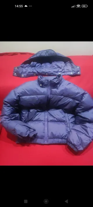 Bomber piumino d'oca con cappuccio Accent