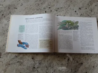 Cómo curar molestias cotidianas de forma natural