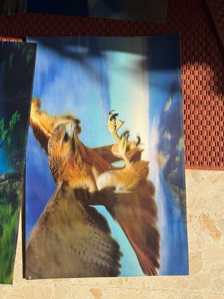 7 Pósters 3D Animales y Naturaleza