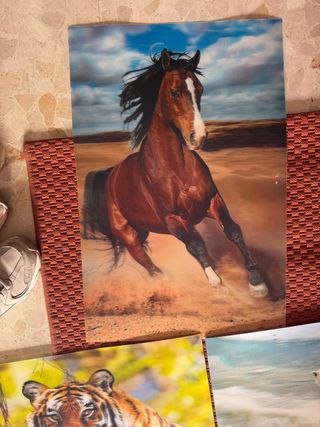 7 Pósters 3D Animales y Naturaleza