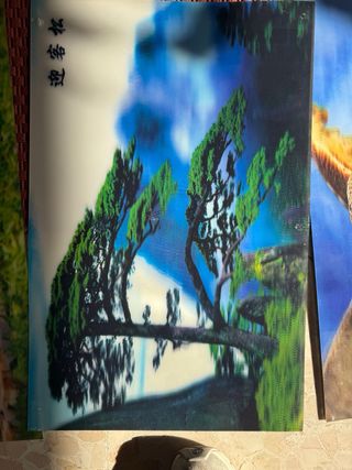 7 Pósters 3D Animales y Naturaleza