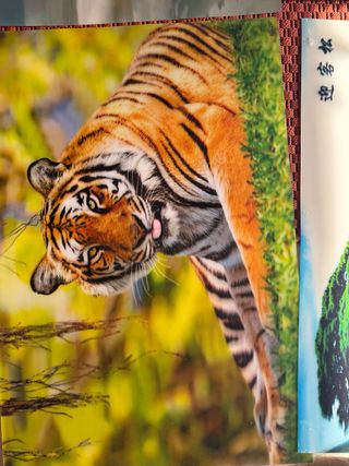 7 Pósters 3D Animales y Naturaleza