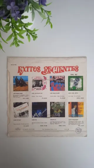 Vinilo Richard Harris - The Yard Went On Forever