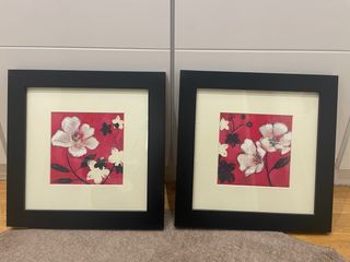 Coppia di quadri con fiori incorniciati