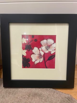 Coppia di quadri con fiori incorniciati