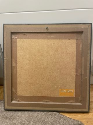 Coppia di quadri con fiori incorniciati