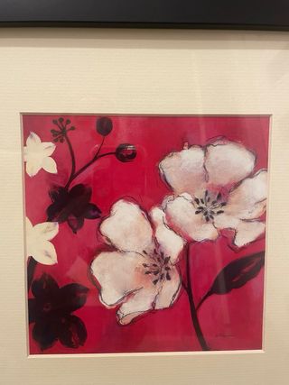 Coppia di quadri con fiori incorniciati