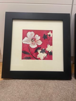 Coppia di quadri con fiori incorniciati