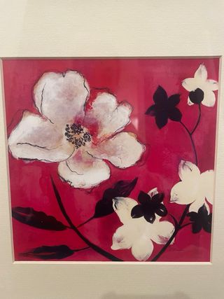 Coppia di quadri con fiori incorniciati