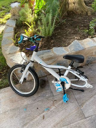 Tuneo y Servicio de Mantenimiento de Bicicletas