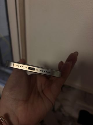 iPhone 16 Pro Max Plata